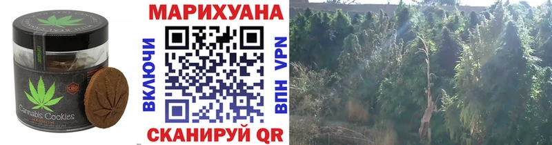 Купить закладки  Магадан  Canna-Cookies конопля 