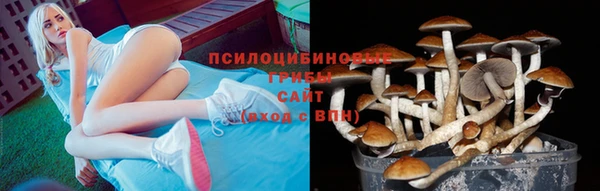 спиды Балахна