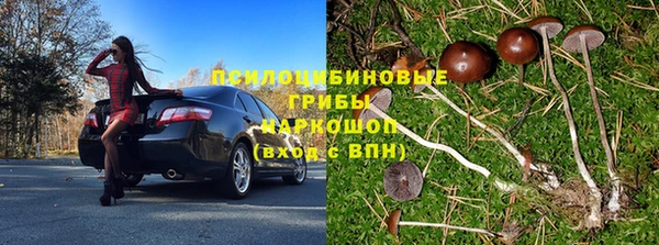 соль ск Белокуриха