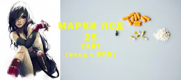 соль ск Белокуриха