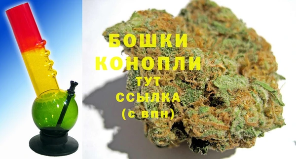 соль ск Белокуриха