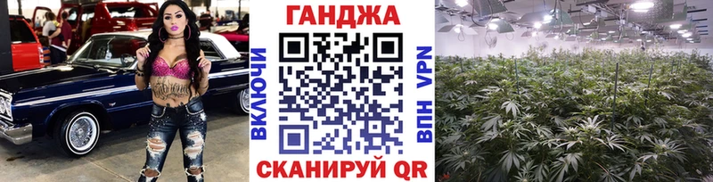 Шишки марихуана гибрид  Купить  Магадан 
